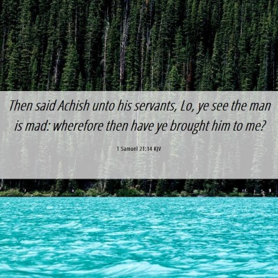 Picture 06 - 1 Samuel 21:14 KJV - Then said Achish unto his servants, Lo, ye see - Bible Verse Picture