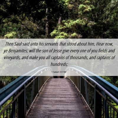 Picture 06 - 1 Samuel 22:7 KJV - Then Saul said unto his servants that stood about - Bible Verse Picture