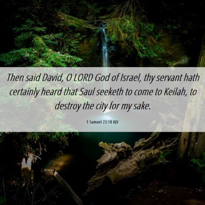 Picture 06 - 1 Samuel 23:10 KJV - Then said David, O LORD God of Israel, thy - Bible Verse Picture