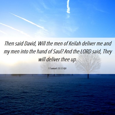 Picture 06 - 1 Samuel 23:12 KJV - Then said David, Will the men of Keilah deliver - Bible Verse Picture