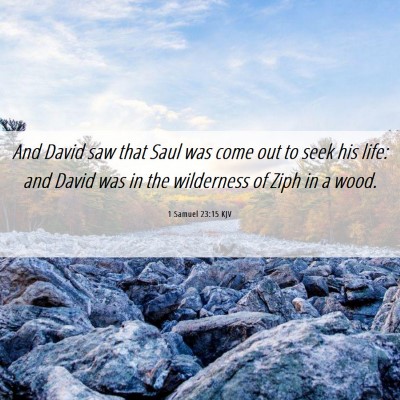 Picture 06 - 1 Samuel 23:15 KJV - And David saw that Saul was come out to seek his - Bible Verse Picture