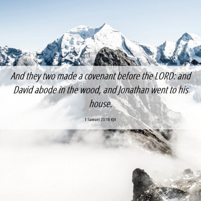 Picture 06 - 1 Samuel 23:18 KJV - And they two made a covenant before the LORD: and - Bible Verse Picture