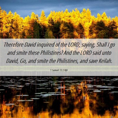 Picture 06 - 1 Samuel 23:2 KJV - Therefore David inquired of the LORD, saying, - Bible Verse Picture