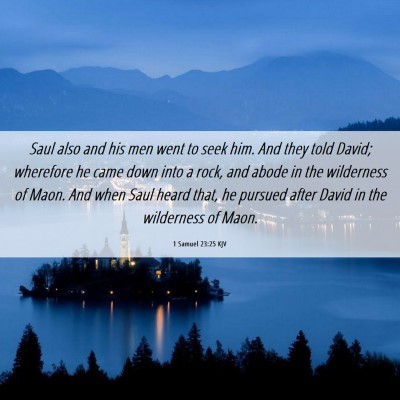 Picture 06 - 1 Samuel 23:25 KJV - Saul also and his men went to seek him. And they - Bible Verse Picture
