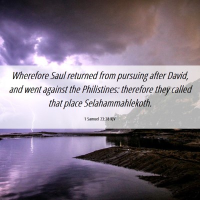 Picture 06 - 1 Samuel 23:28 KJV - Wherefore Saul returned from pursuing after - Bible Verse Picture