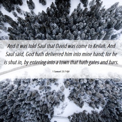 Picture 06 - 1 Samuel 23:7 KJV - And it was told Saul that David was come to - Bible Verse Picture