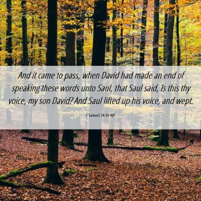 Picture 06 - 1 Samuel 24:16 KJV - And it came to pass, when David had made an end - Bible Verse Picture