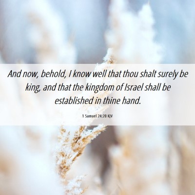 Picture 06 - 1 Samuel 24:20 KJV - And now, behold, I know well that thou shalt - Bible Verse Picture