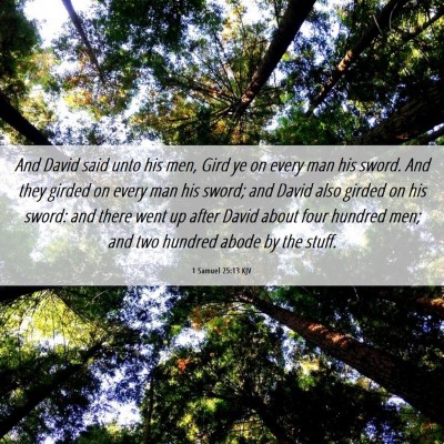 Picture 06 - 1 Samuel 25:13 KJV - And David said unto his men, Gird ye on every man - Bible Verse Picture