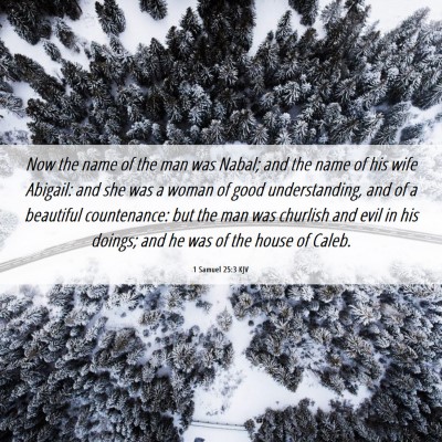 Picture 06 - 1 Samuel 25:3 KJV - Now the name of the man was Nabal; and the name - Bible Verse Picture