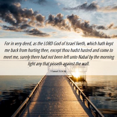 Picture 06 - 1 Samuel 25:34 KJV - For in very deed, as the LORD God of Israel - Bible Verse Picture
