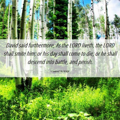 Picture 06 - 1 Samuel 26:10 KJV - David said furthermore, As the LORD liveth, the - Bible Verse Picture