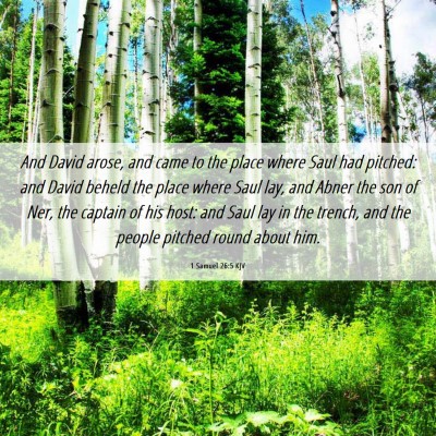 Picture 06 - 1 Samuel 26:5 KJV - And David arose, and came to the place where Saul - Bible Verse Picture
