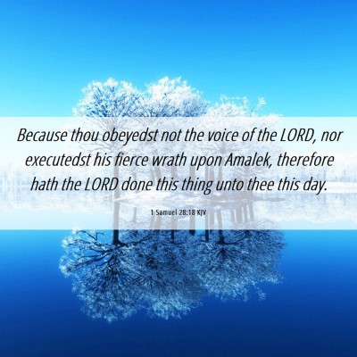 Picture 06 - 1 Samuel 28:18 KJV - Because thou obeyedst not the voice of the LORD, - Bible Verse Picture