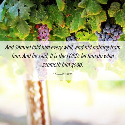 Picture 06 - 1 Samuel 3:18 KJV - And Samuel told him every whit, and hid nothing - Bible Verse Picture