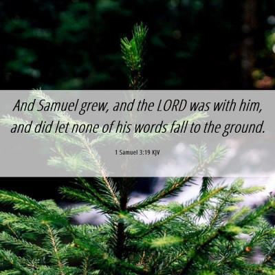 Picture 06 - 1 Samuel 3:19 KJV - And Samuel grew, and the LORD was with him, and - Bible Verse Picture
