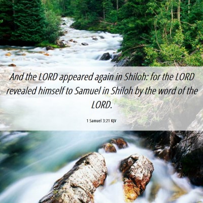 Picture 06 - 1 Samuel 3:21 KJV - And the LORD appeared again in Shiloh: for the - Bible Verse Picture