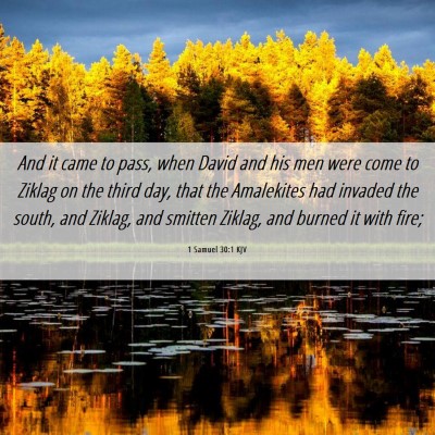 Picture 06 - 1 Samuel 30:1 KJV - And it came to pass, when David and his men were - Bible Verse Picture