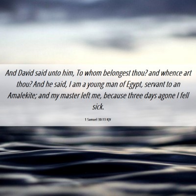 Picture 06 - 1 Samuel 30:13 KJV - And David said unto him, To whom belongest thou? - Bible Verse Picture