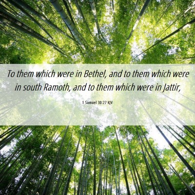 Picture 06 - 1 Samuel 30:27 KJV - To them which were in Bethel, and to them which - Bible Verse Picture