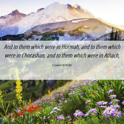 Picture 06 - 1 Samuel 30:30 KJV - And to them which were in Hormah, and to them - Bible Verse Picture