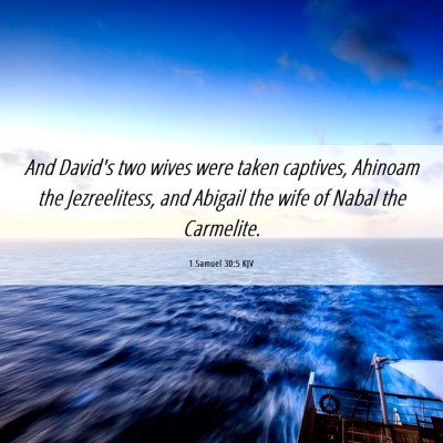 Picture 06 - 1 Samuel 30:5 KJV - And David's two wives were taken captives, - Bible Verse Picture