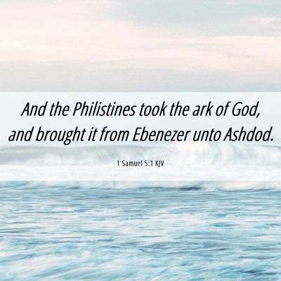 Picture 06 - 1 Samuel 5:1 KJV - And the Philistines took the ark of God, and - Bible Verse Picture