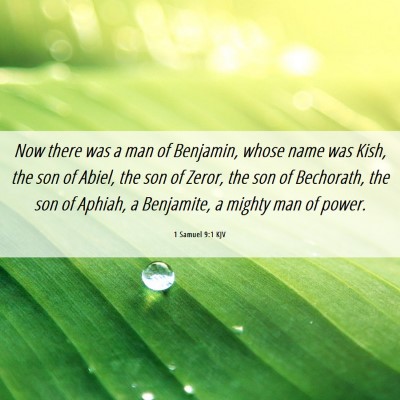 Picture 06 - 1 Samuel 9:1 KJV - Now there was a man of Benjamin, whose name was - Bible Verse Picture