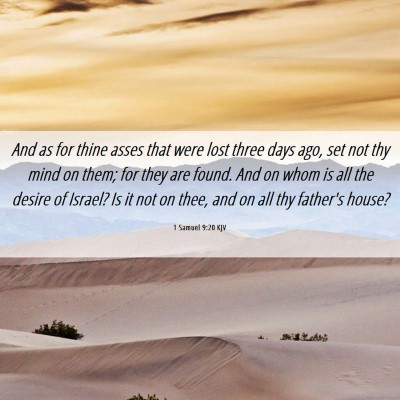 Picture 06 - 1 Samuel 9:20 KJV - And as for thine asses that were lost three days - Bible Verse Picture