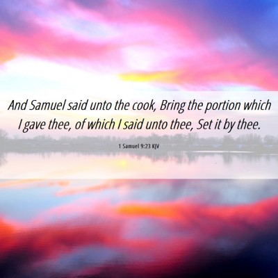 Picture 06 - 1 Samuel 9:23 KJV - And Samuel said unto the cook, Bring the portion - Bible Verse Picture