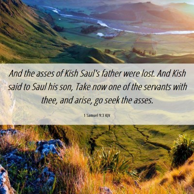 Picture 06 - 1 Samuel 9:3 KJV - And the asses of Kish Saul's father were lost. - Bible Verse Picture