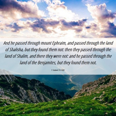 Picture 06 - 1 Samuel 9:4 KJV - And he passed through mount Ephraim, and passed - Bible Verse Picture