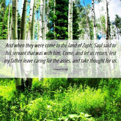 Picture 06 - 1 Samuel 9:5 KJV - And when they were come to the land of Zuph, Saul - Bible Verse Picture