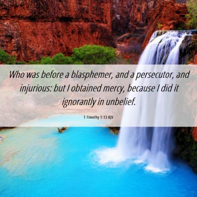 Picture 06 - 1 Timothy 1:13 KJV - Who was before a blasphemer, and a persecutor, - Bible Verse Picture