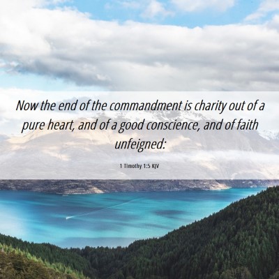 Picture 06 - 1 Timothy 1:5 KJV - Now the end of the commandment is charity out of - Bible Verse Picture