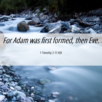 Picture 06 - 1 Timothy 2:13 KJV - For Adam was first formed, then - Bible Verse Picture