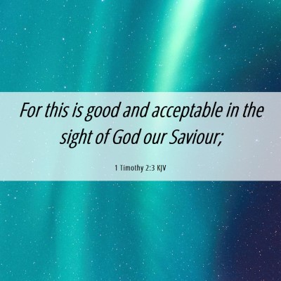 Picture 06 - 1 Timothy 2:3 KJV - For this is good and acceptable in the sight of - Bible Verse Picture