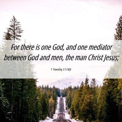 Picture 06 - 1 Timothy 2:5 KJV - For there is one God, and one mediator between - Bible Verse Picture