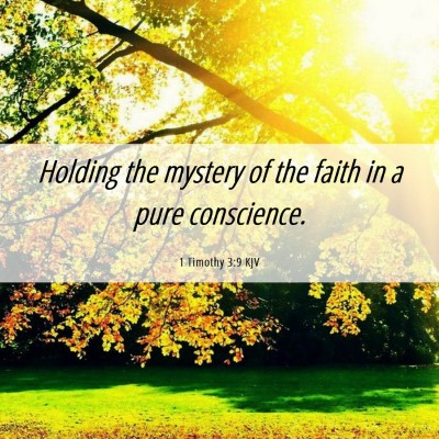 Picture 06 - 1 Timothy 3:9 KJV - Holding the mystery of the faith in a pure - Bible Verse Picture