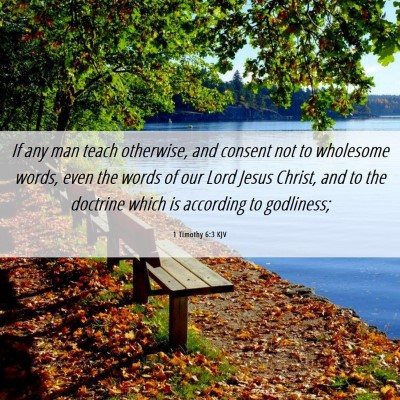 Picture 06 - 1 Timothy 6:3 KJV - If any man teach otherwise, and consent not to - Bible Verse Picture