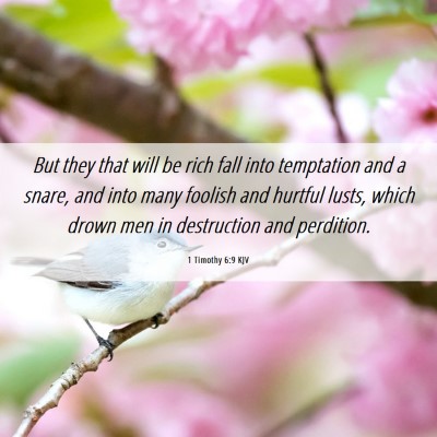 Picture 06 - 1 Timothy 6:9 KJV - But they that will be rich fall into temptation - Bible Verse Picture