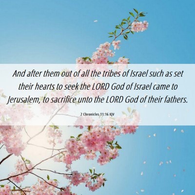 Picture 06 - 2 Chronicles 11:16 KJV - And after them out of all the tribes of Israel - Bible Verse Picture