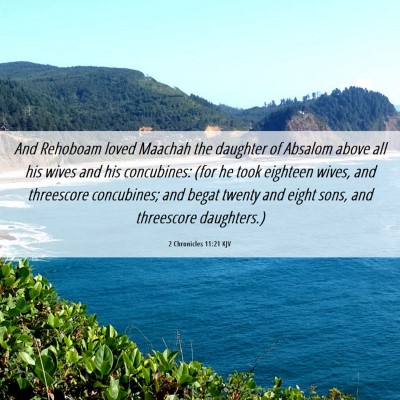 Picture 06 - 2 Chronicles 11:21 KJV - And Rehoboam loved Maachah the daughter of - Bible Verse Picture