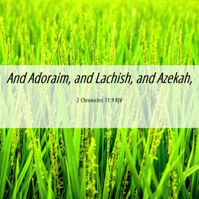 Picture 06 - 2 Chronicles 11:9 KJV - And Adoraim, and Lachish, and - Bible Verse Picture