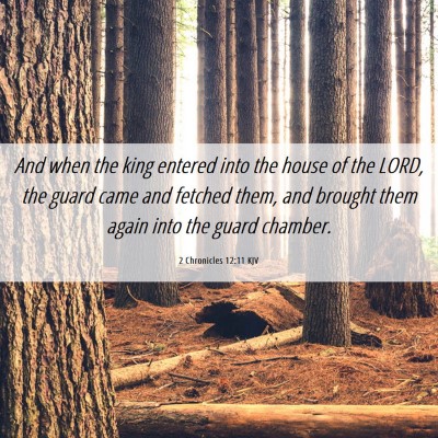 Picture 06 - 2 Chronicles 12:11 KJV - And when the king entered into the house of the - Bible Verse Picture