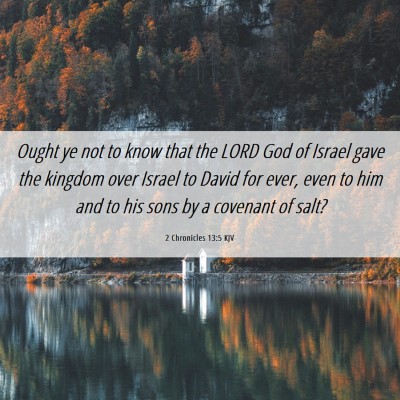Picture 06 - 2 Chronicles 13:5 KJV - Ought ye not to know that the LORD God of Israel - Bible Verse Picture