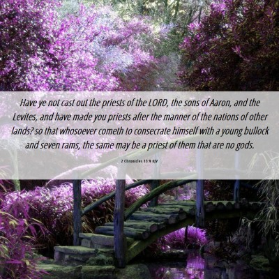 Picture 06 - 2 Chronicles 13:9 KJV - Have ye not cast out the priests of the LORD, the - Bible Verse Picture