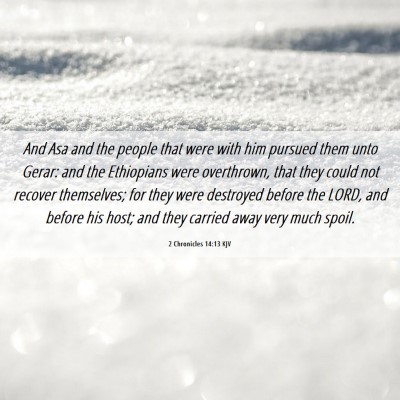 Picture 06 - 2 Chronicles 14:13 KJV - And Asa and the people that were with him pursued - Bible Verse Picture