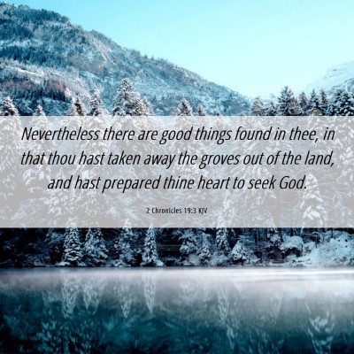 Picture 06 - 2 Chronicles 19:3 KJV - Nevertheless there are good things found in thee, - Bible Verse Picture