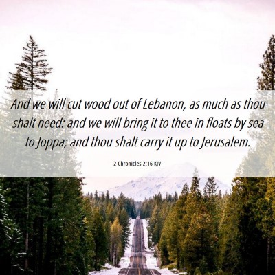 Picture 06 - 2 Chronicles 2:16 KJV - And we will cut wood out of Lebanon, as much as - Bible Verse Picture